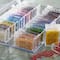 6 Pack: Storage Box with Assorted Bead Colors by Bead Landing™